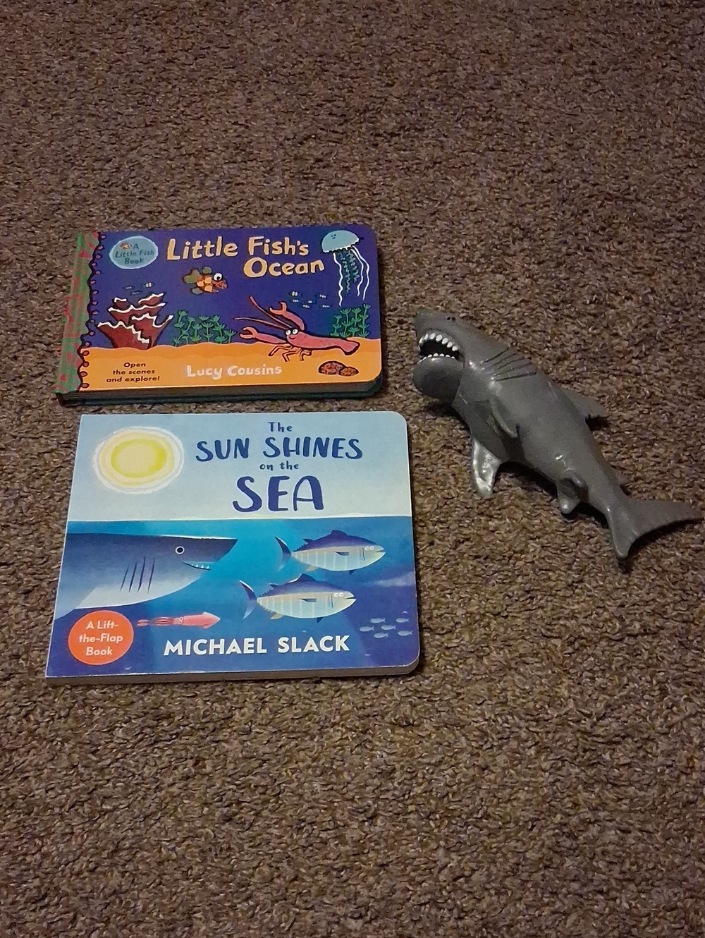 Ocean Book 0-preschool age